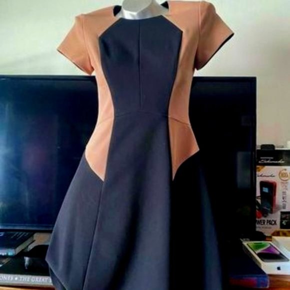 NEW* Rebecca Taylor Color Block Dress Black/Beige Size 2 $430 - Picture 1 of 4